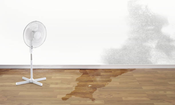 Best Sewage cleanup and water damage restoration  in Firestone, CO