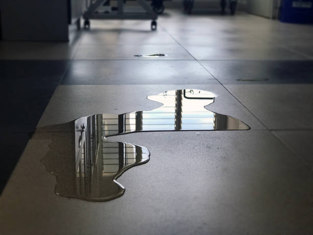 Best 24/7 water damage repair  in Firestone, CO