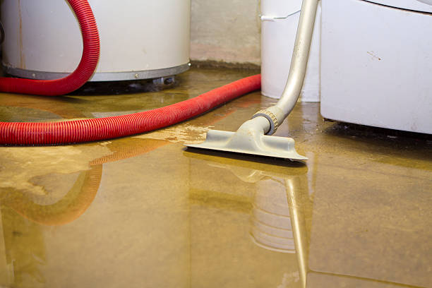 Best Professional water damage repair  in Firestone, CO