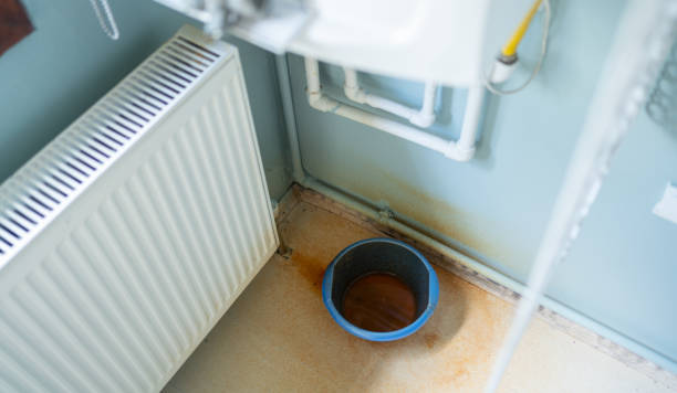 Best Flood damage cleanup  in Firestone, CO